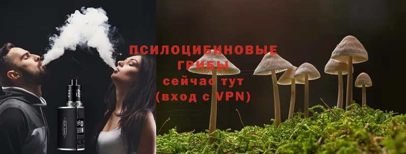 купить  цена  kraken зеркало  Псилоцибиновые грибы Psilocybine cubensis  Луховицы 